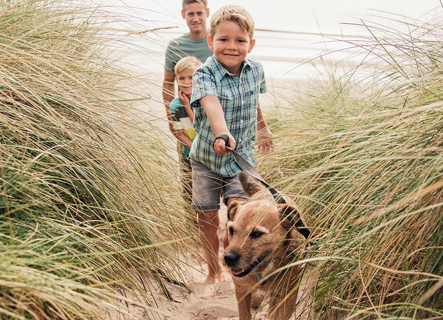 Young family walking a dog through Papamoa Beach sand dunes