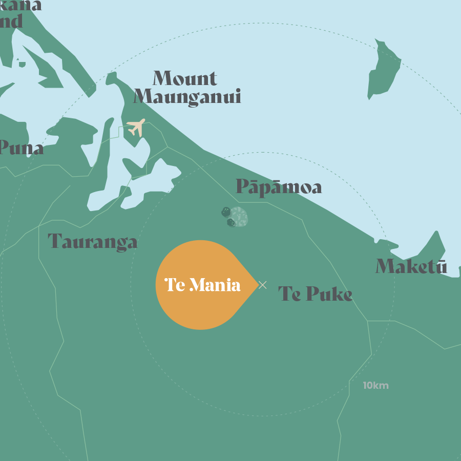 Te Mania highlighted in illustration map of Bay of Plenty BOP
