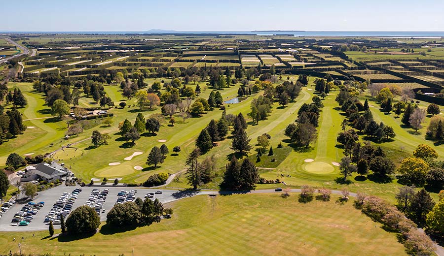 Aerial photo of the Te Puke Golf Club greens.